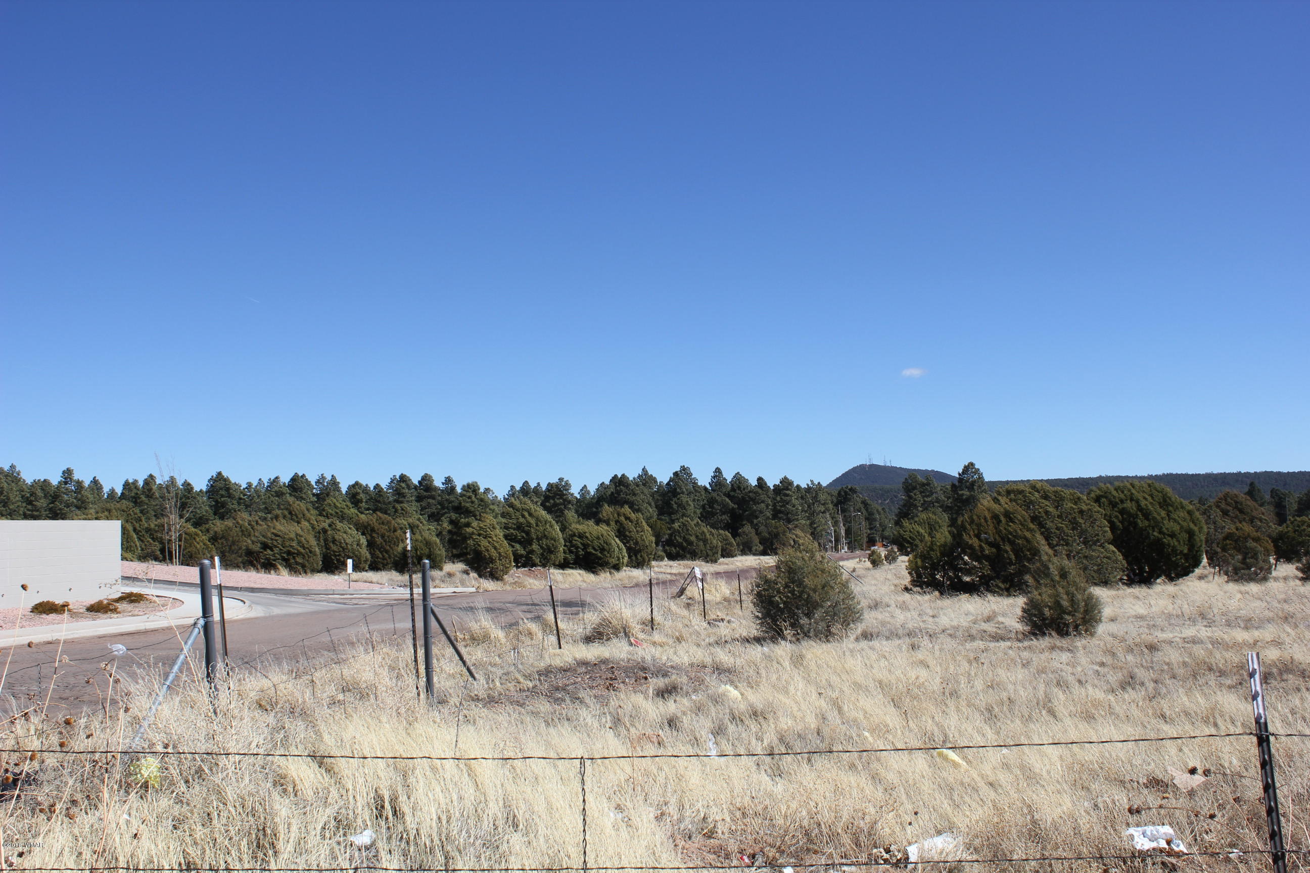 160R E Hunt Drive, Show Low, AZ 85901
