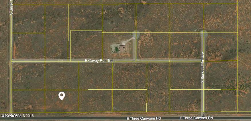tbd Three Canyons Road 25, Hereford, AZ 85615 — Photo 1 of 10