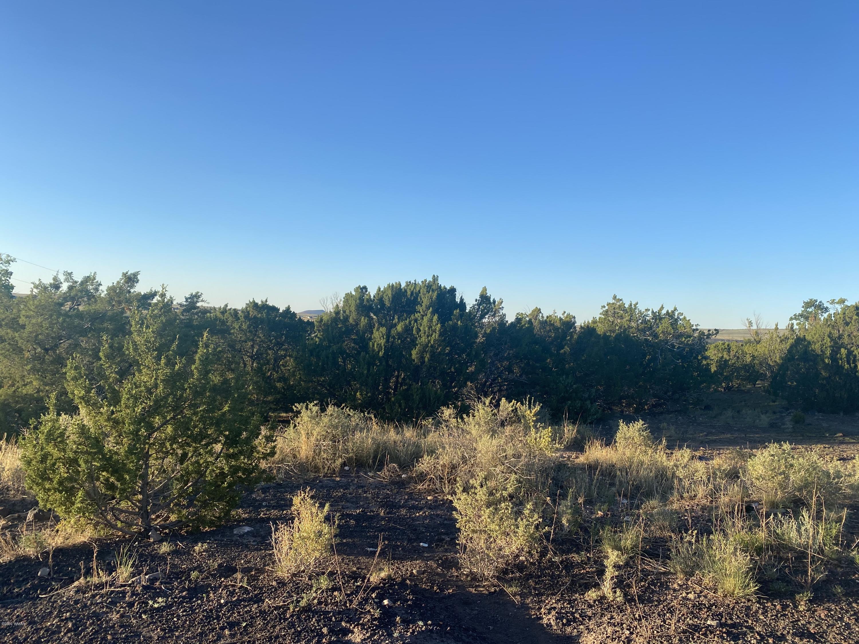 Lot 10 Sunset Drive, Eagar, AZ 85925