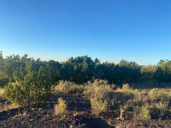 Lot 10 Sunset Drive, Eagar, AZ 85925