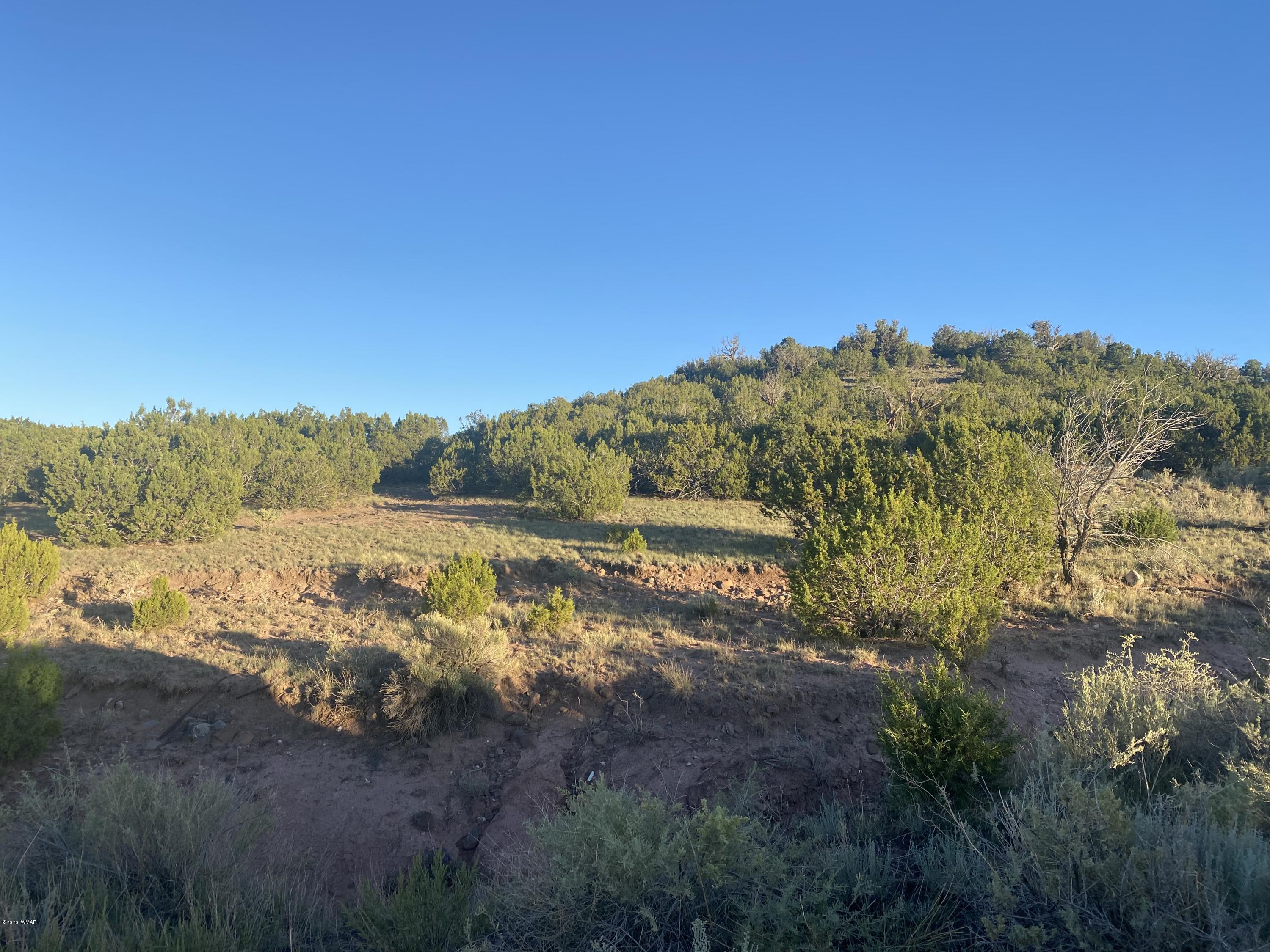 Lot 13 Sunset Drive, Eagar, AZ 85925