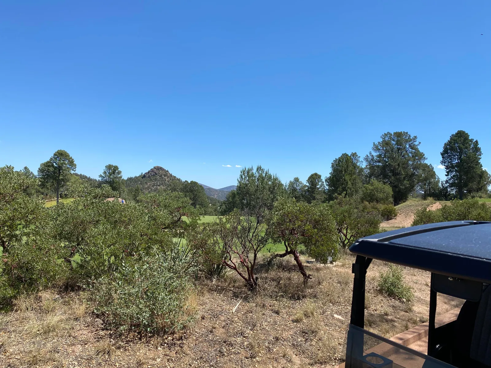 905 S Spirit Hollow, Payson, AZ 85541 — Photo 1 of 8