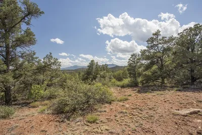 Thumbnail 13