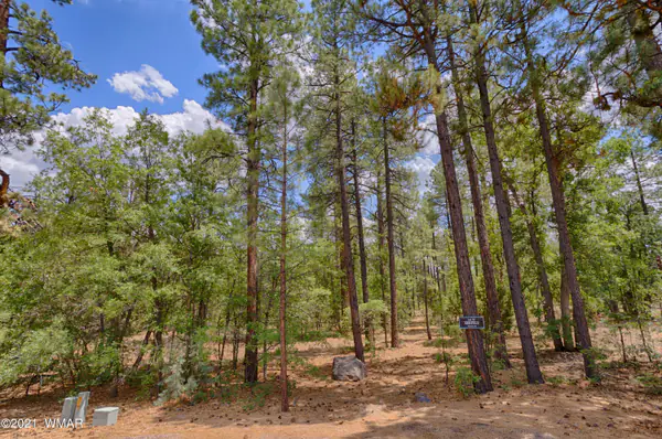 57 E Vista Lane, Pinetop, AZ 85935