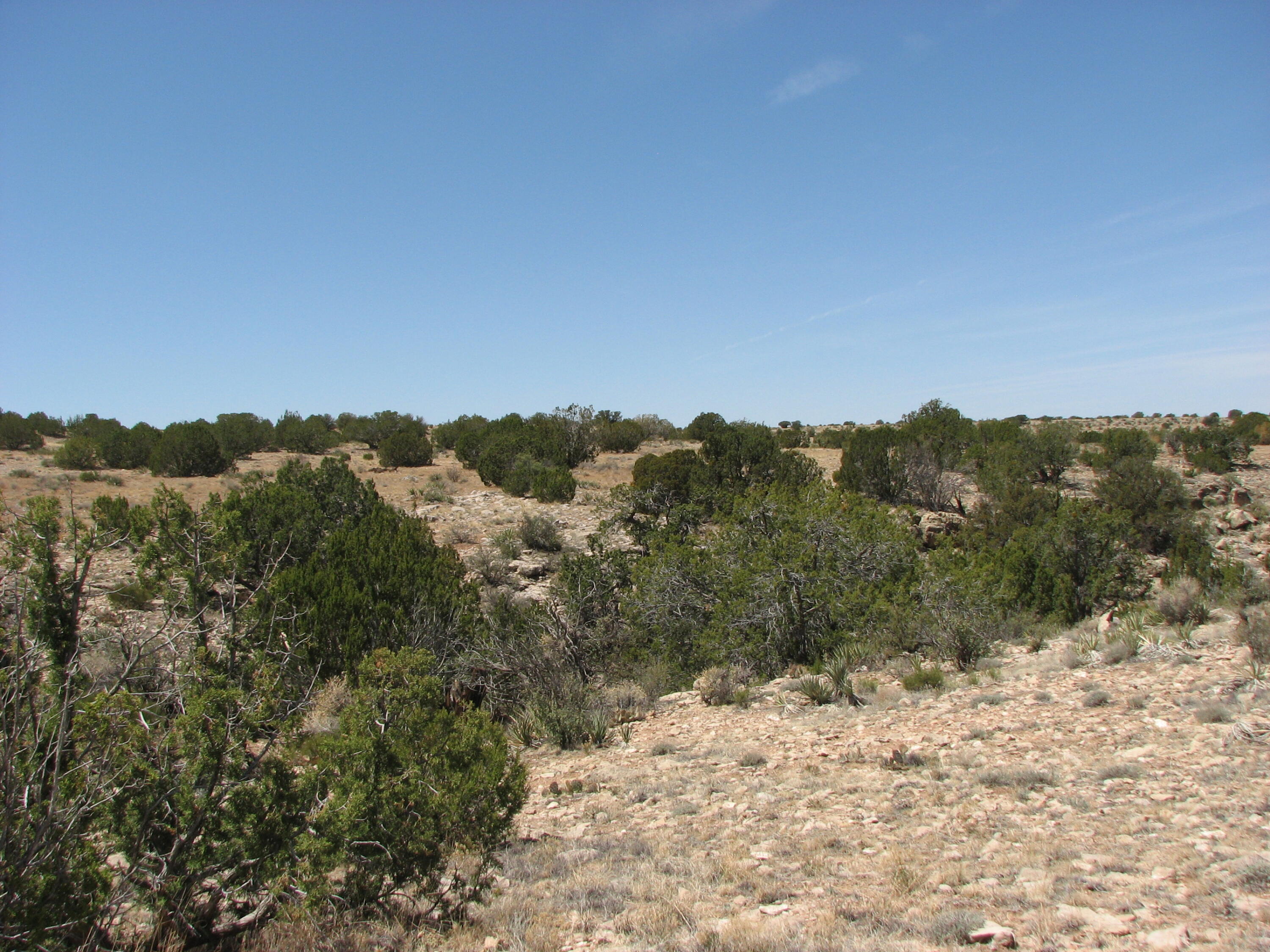 546 Flat Bush Road, Heber, AZ 85928
