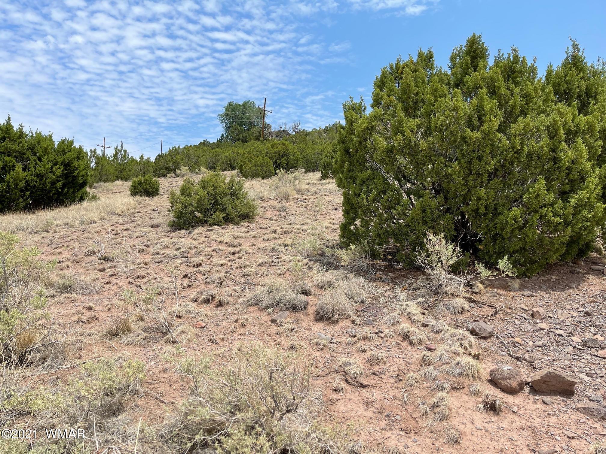 TBD Udall Street, Eagar, AZ 85925 — Photo 1 of 5