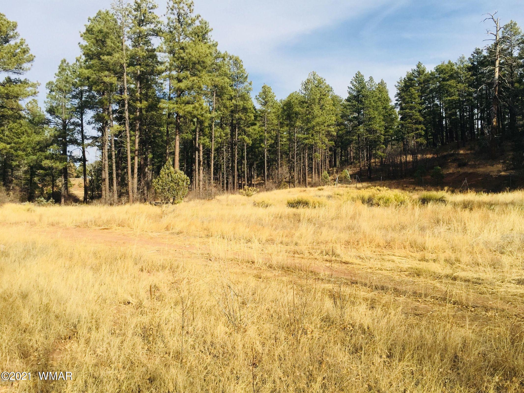 0000 AZ-260, Show Low, AZ 85901