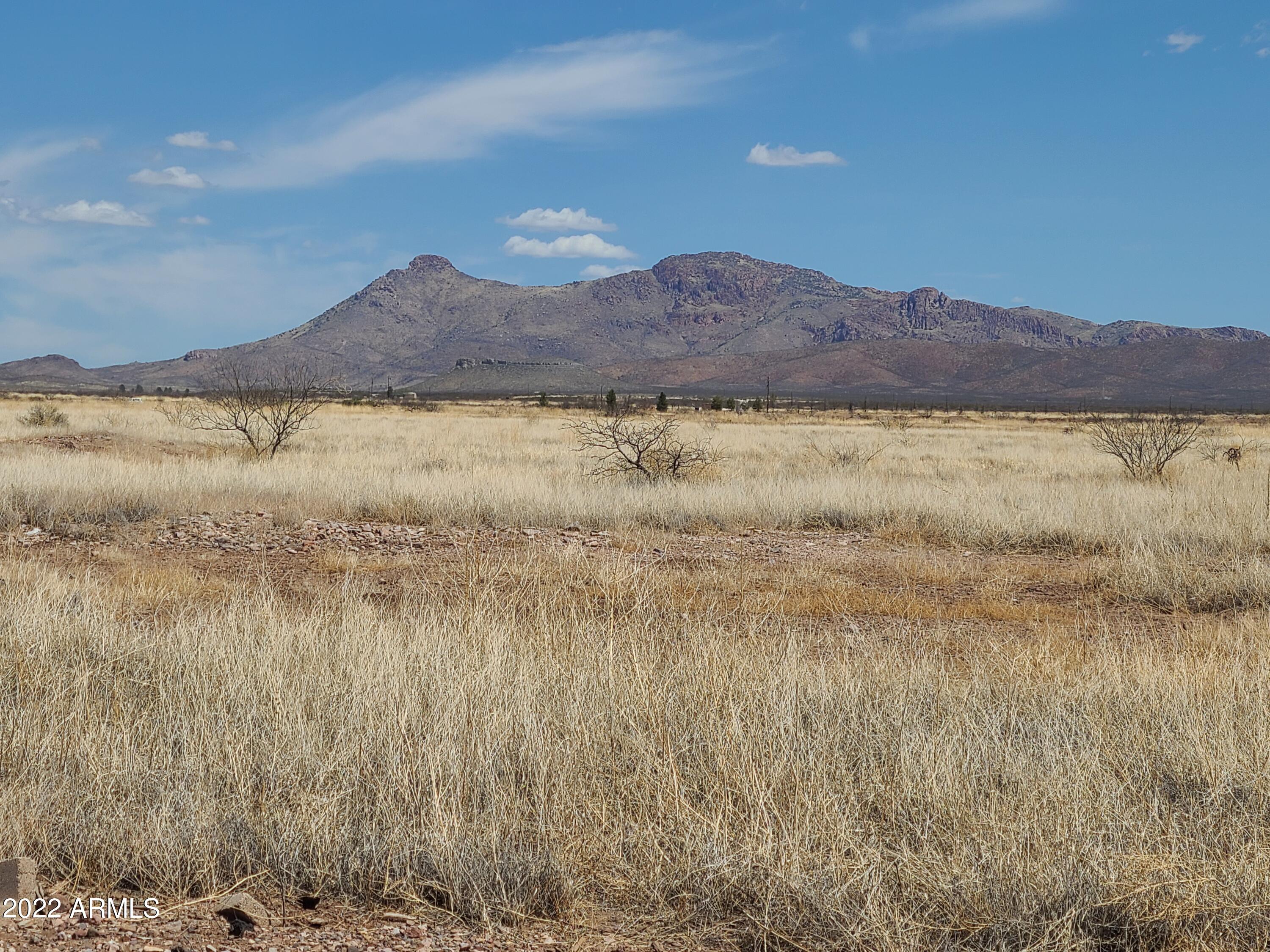 xxxx E Cipriana Drive -, Douglas, AZ 85607 — Photo 1 of 6