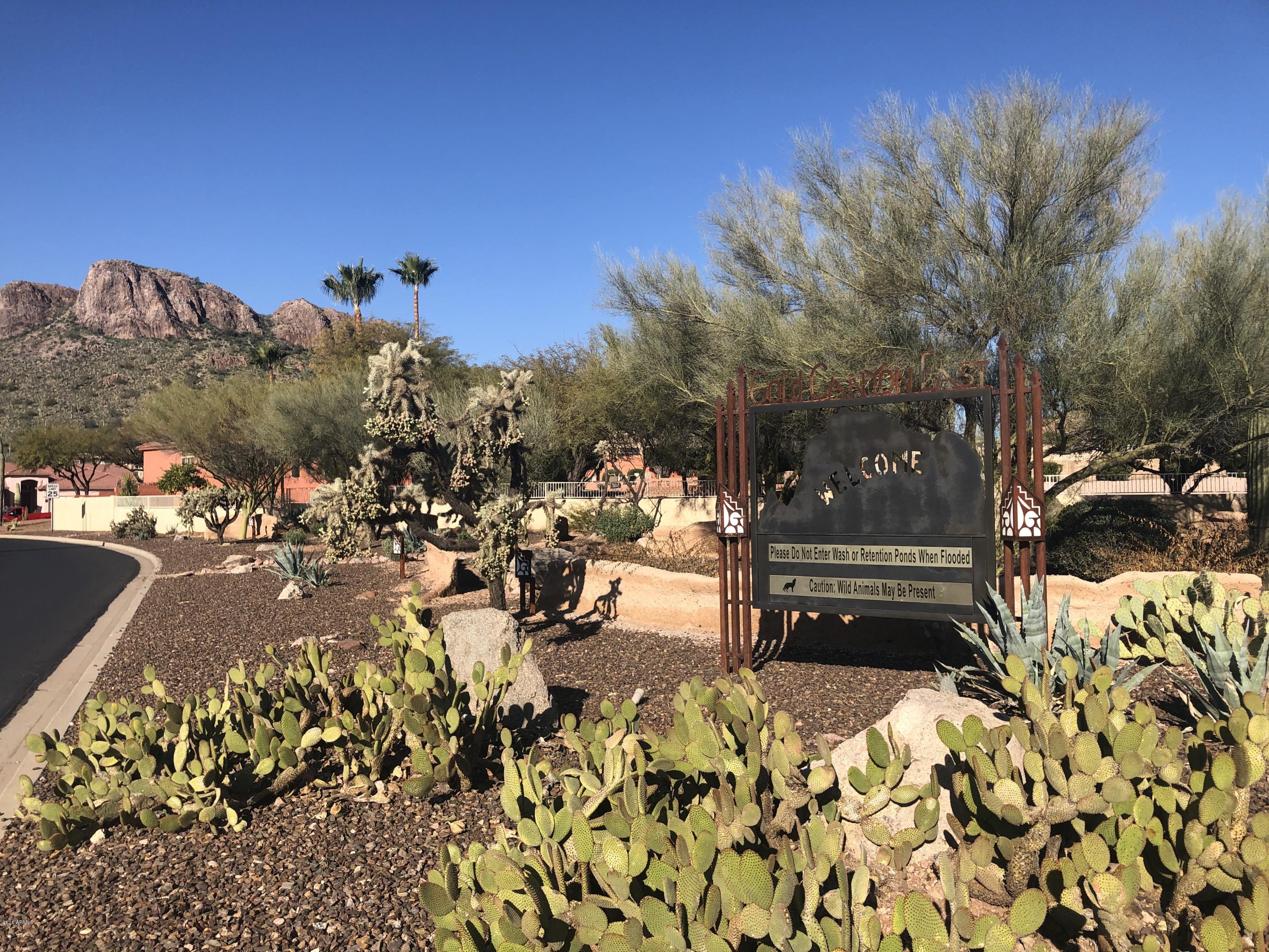 9776 E DEAD SURE Place 11, Gold Canyon, AZ 85118 — Photo 1 of 6