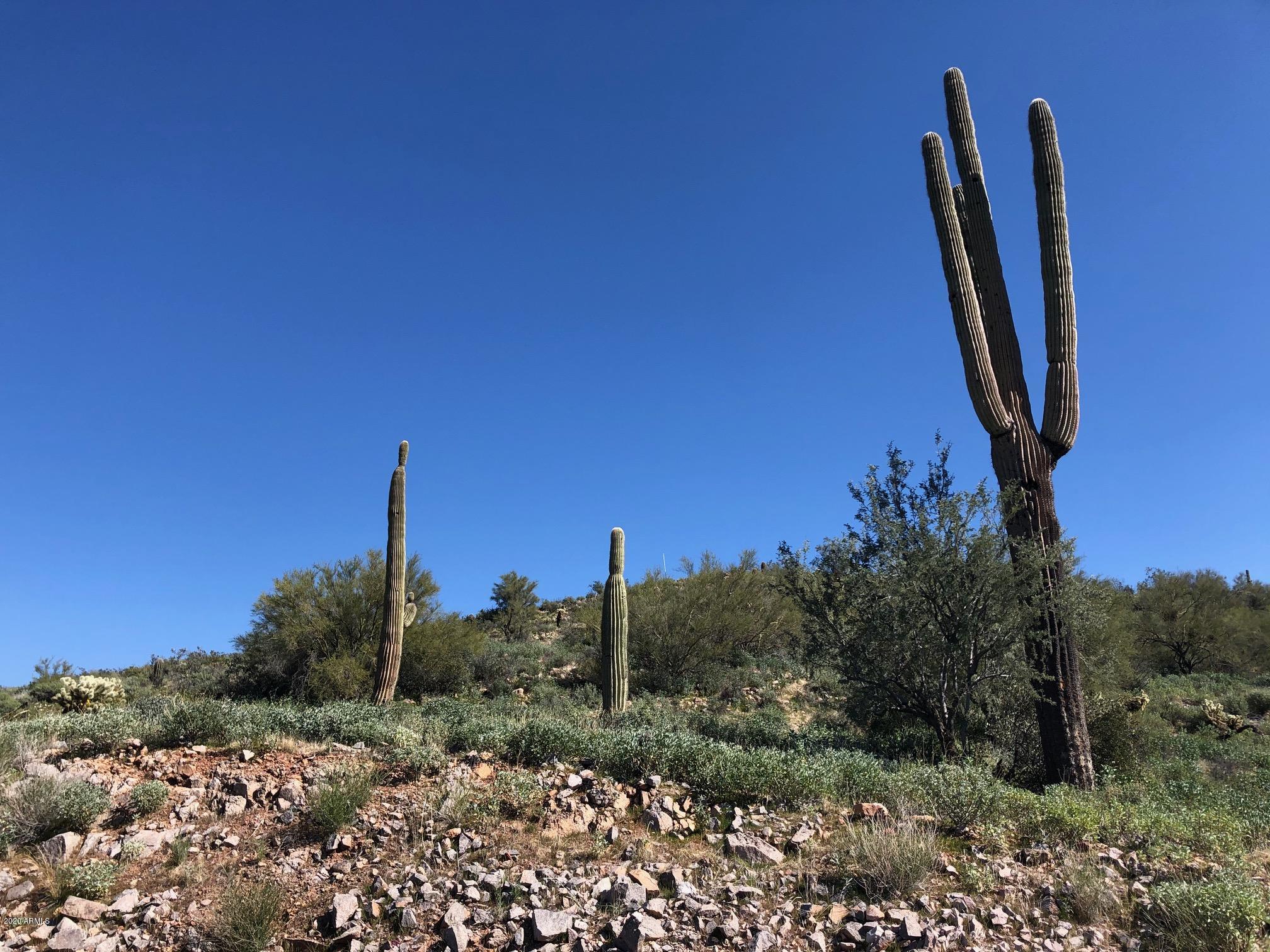 3863 S AVENIDA DE ANGELES 103, Gold Canyon, AZ 85118 — Photo 1 of 16