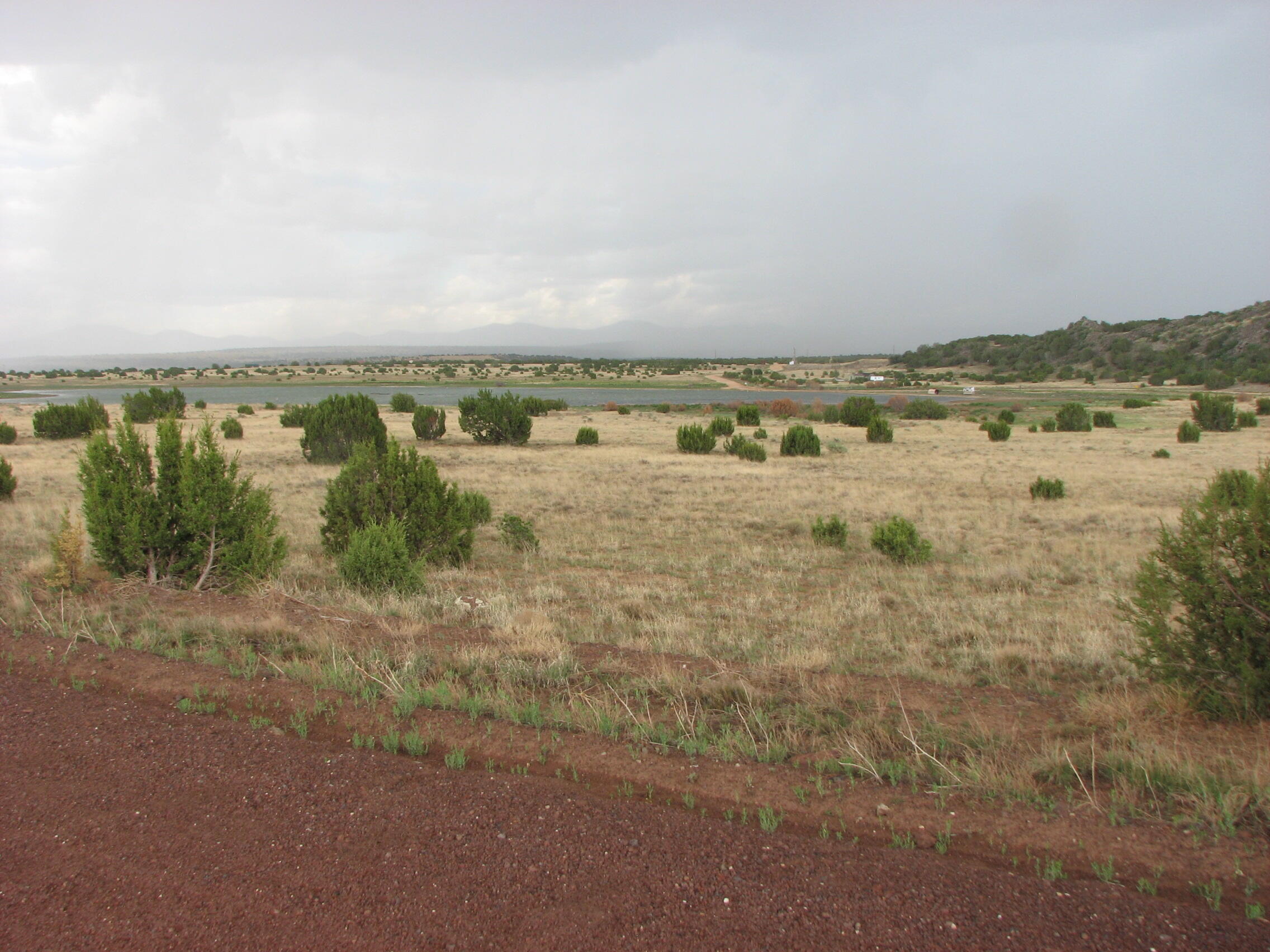 21 & 23 County Road 8001, Concho, AZ 85924