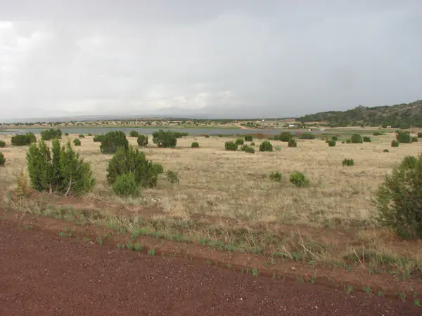 21 & 23 County Road 8001, Concho, AZ 85924