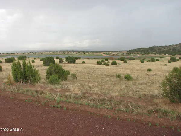 21 & 23 County Road 8001 277 & 278, Concho, AZ 85924