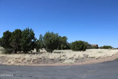2511 Rock View Drive, Show Low, AZ 85901