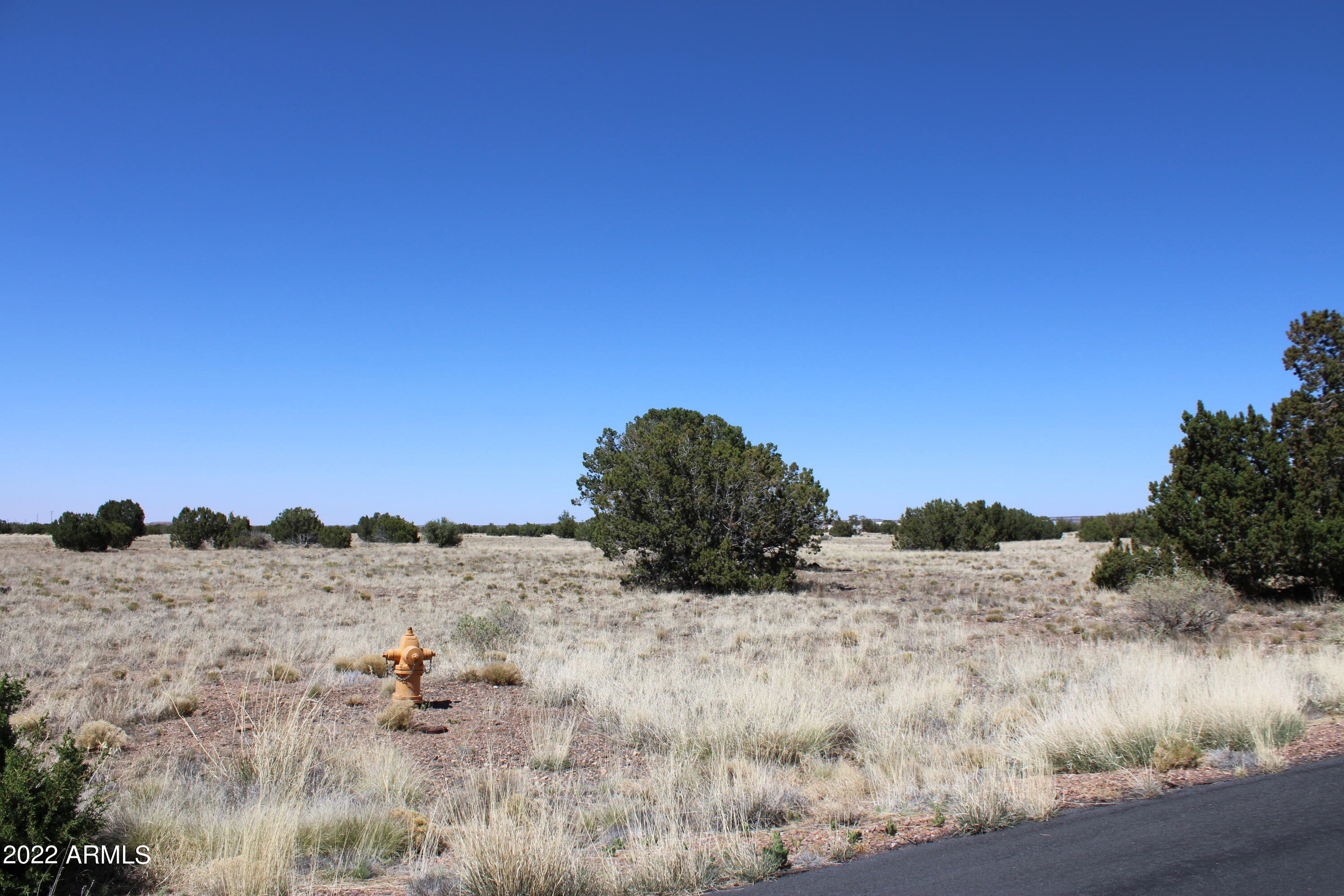 7700 Del Rio Drive, Show Low, AZ 85901 — Photo 1 of 26