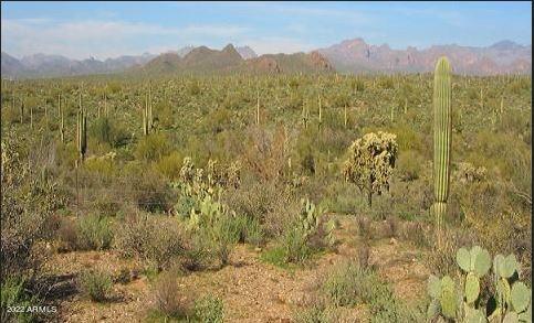 5ac N GUNSIGHT Lane -, Florence, AZ 85132 — Photo 1 of 2
