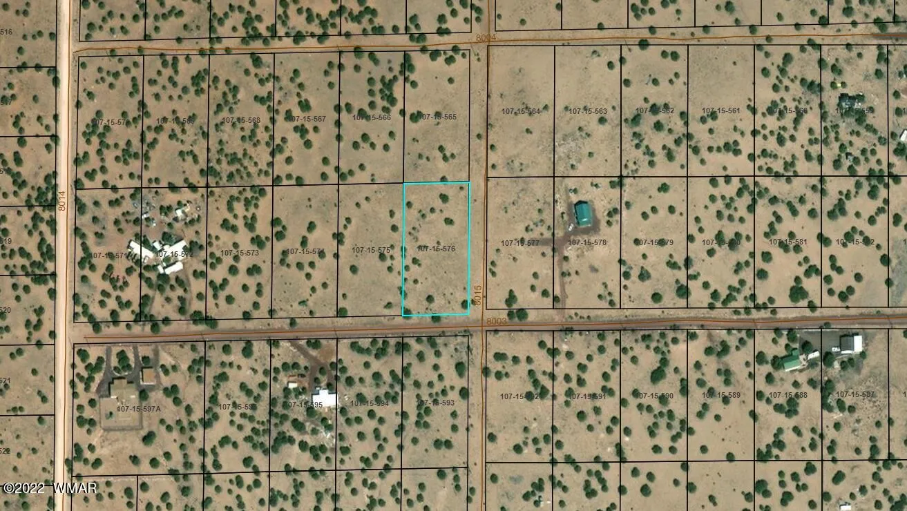 17 County Road 8003, Concho, AZ 85924 — Photo 1 of 6