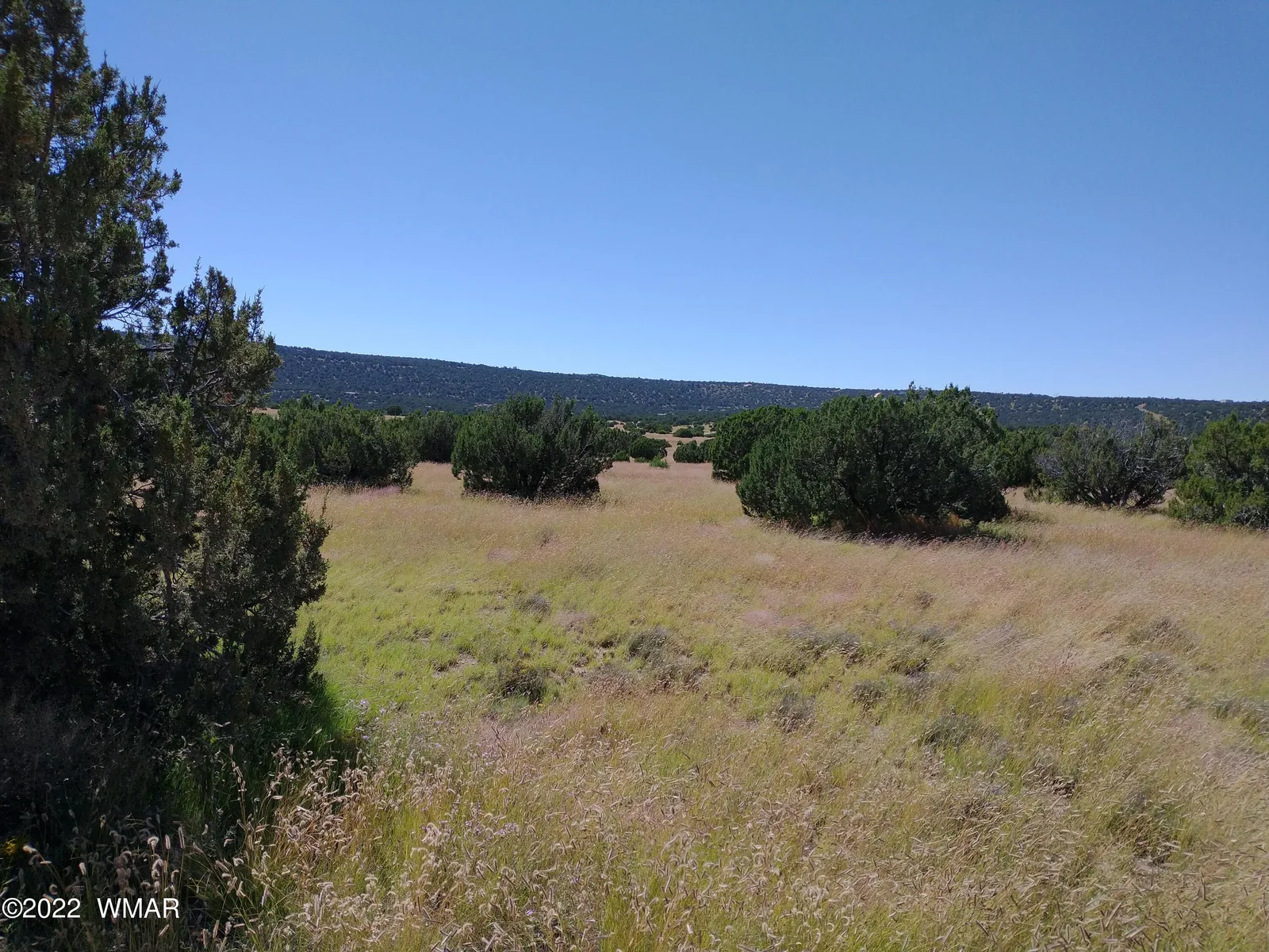 43 County Rd 8014, Concho, AZ 85924 — Photo 1 of 13