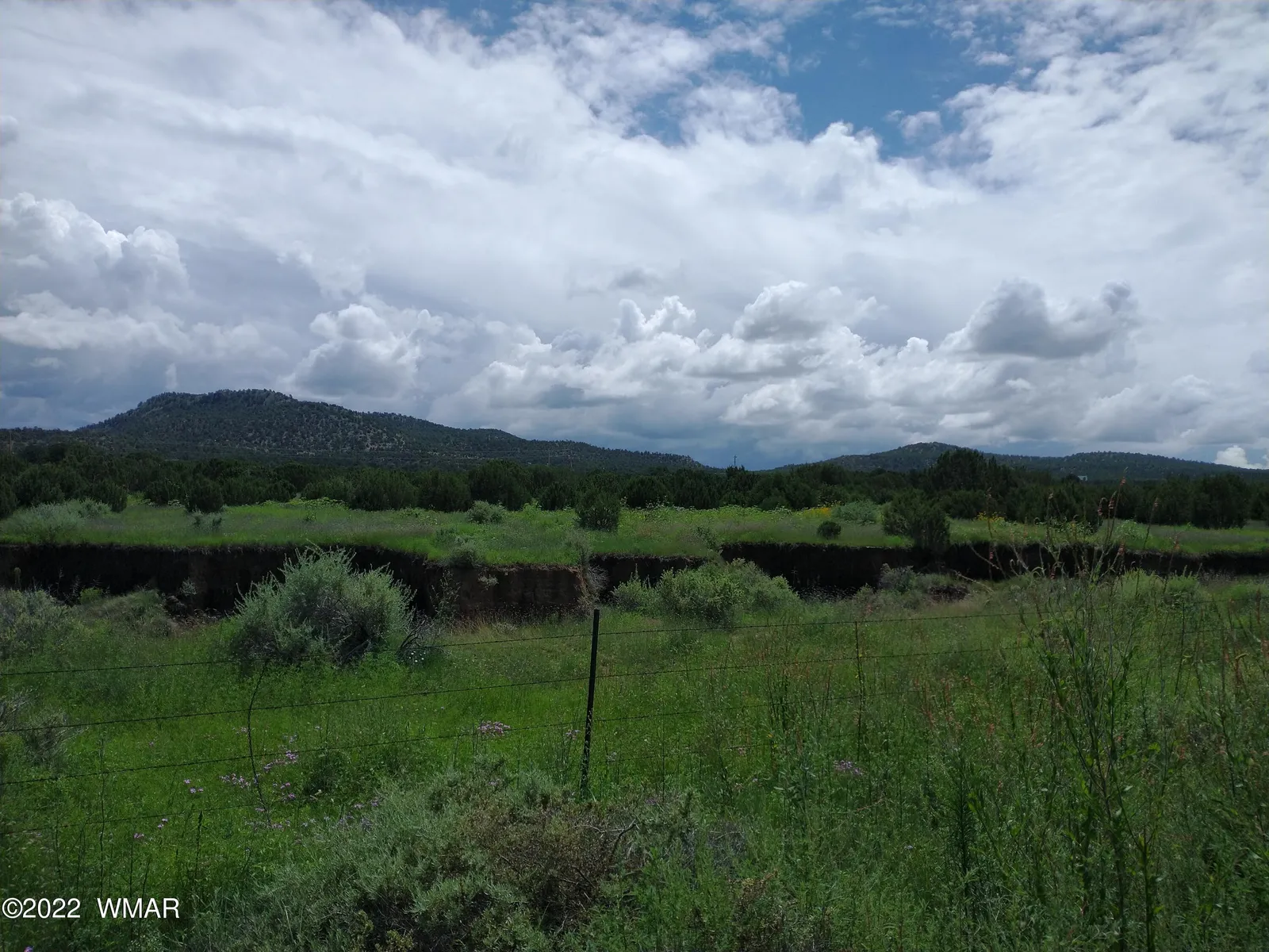 62 County Road 3033, Concho, AZ 85924 — Photo 1 of 7