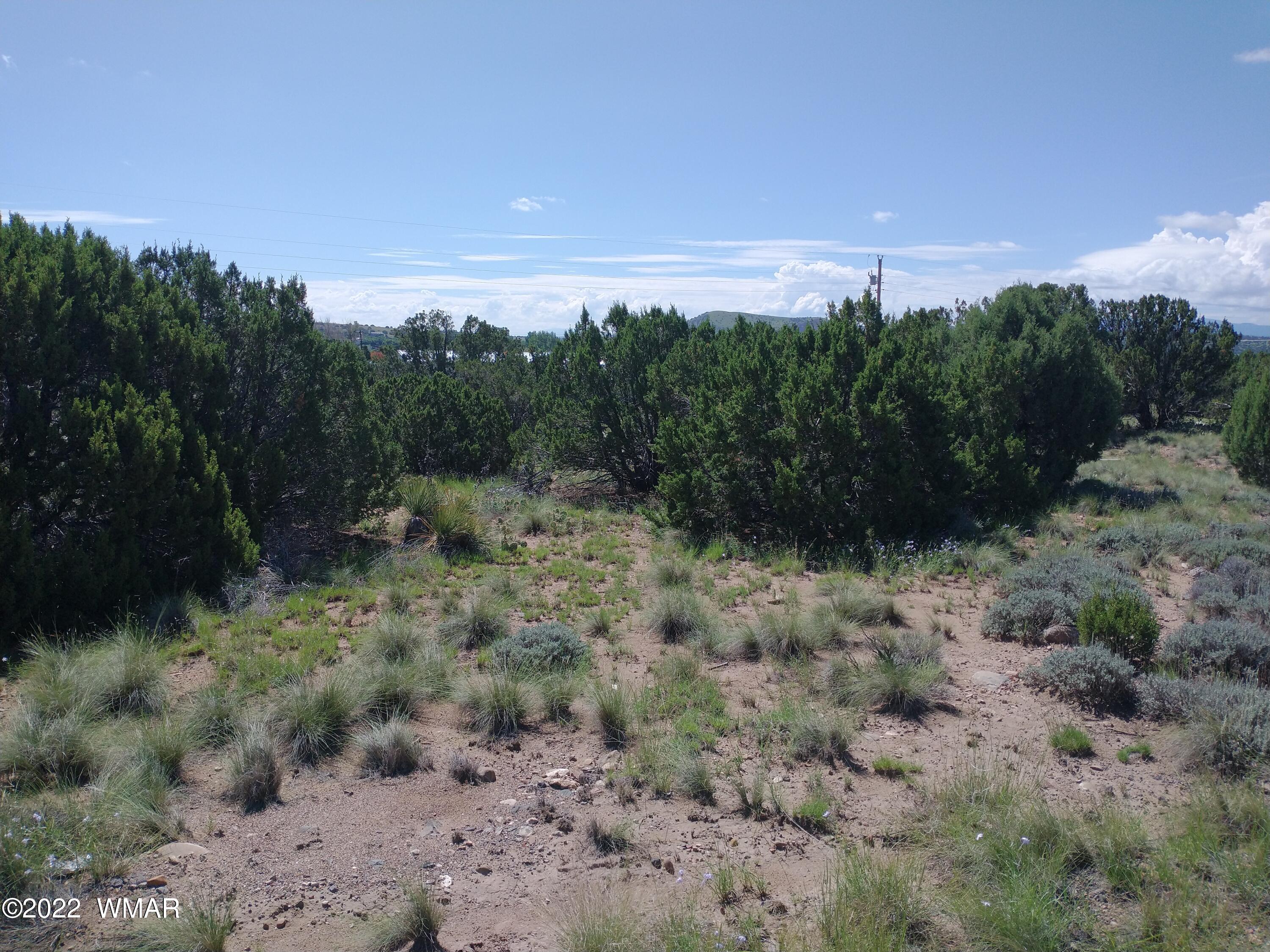46 Dawn Lane, CR 5052, Concho, AZ 85924