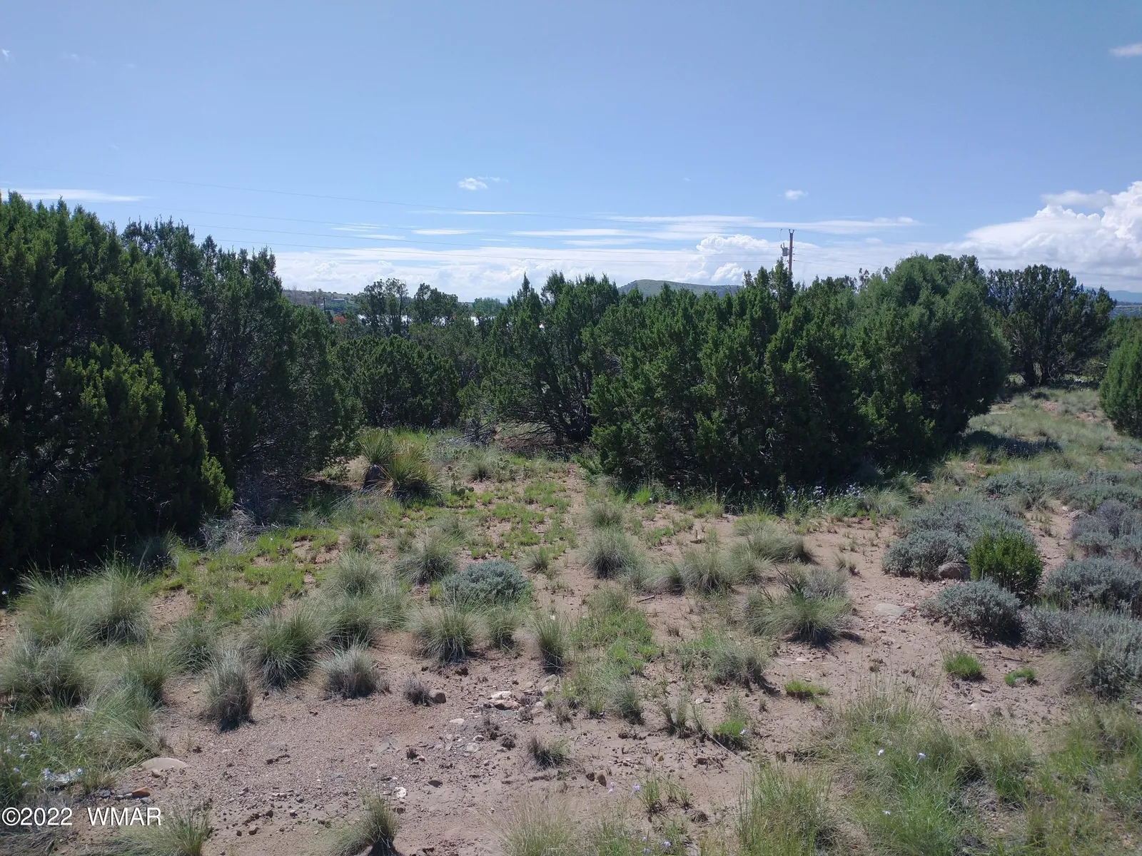 46 Dawn Lane, CR 5052, Concho, AZ 85924 — Photo 1 of 9