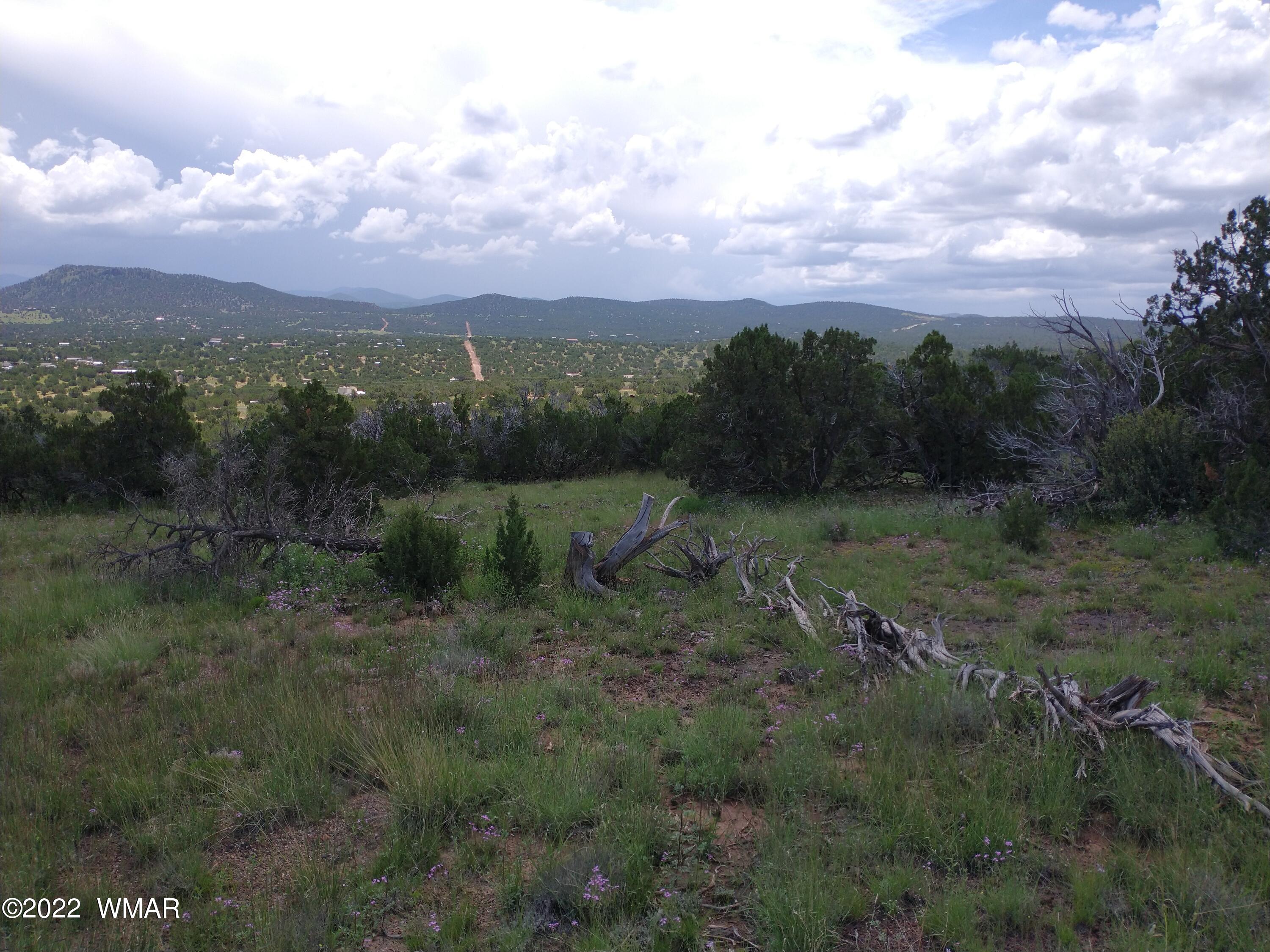 48 Co 8032 Road, # 8032, Concho, AZ 85924