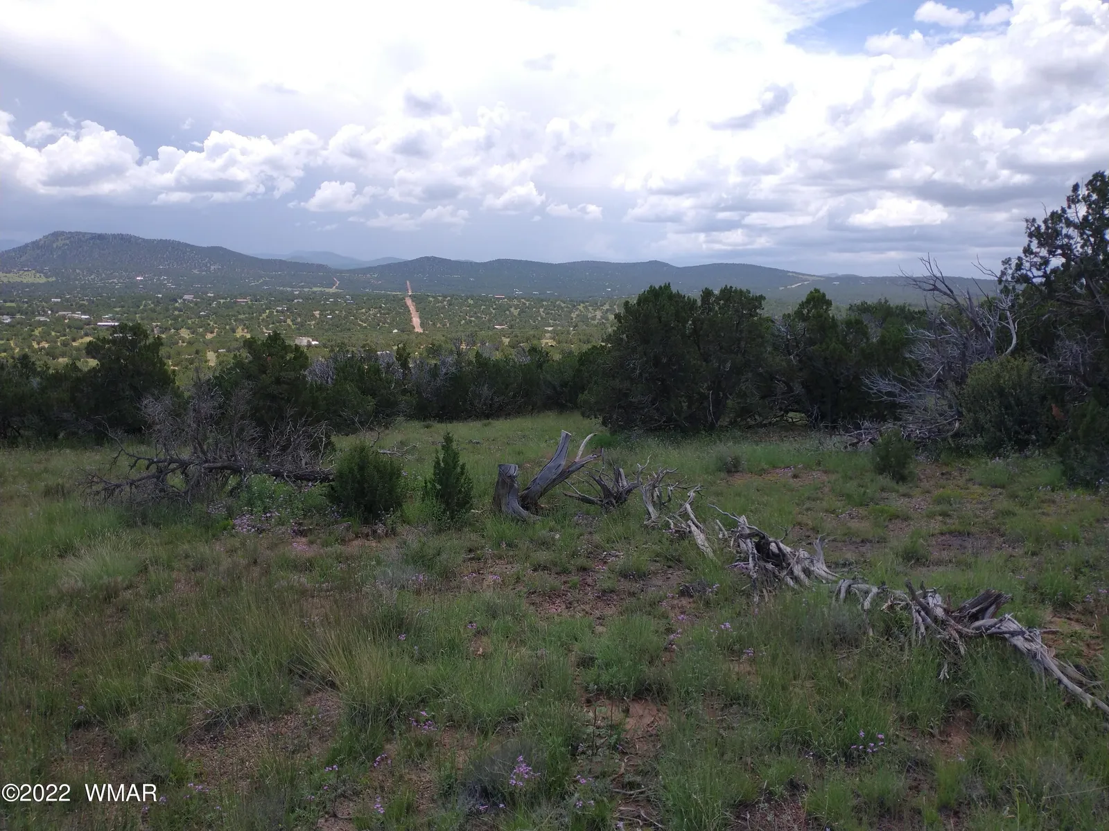 48 Co 8032 Road, # 8032, Concho, AZ 85924 — Photo 1 of 16