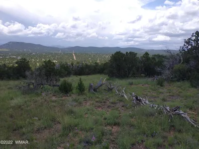 48 Co 8032 Road, # 8032, Concho, AZ 85924