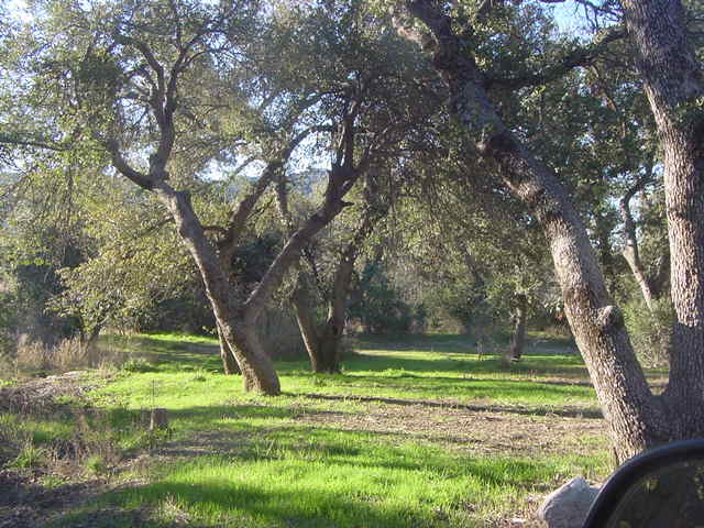 52975 E HARPER Road 0, Miami, AZ 85539 — Photo 1 of 31