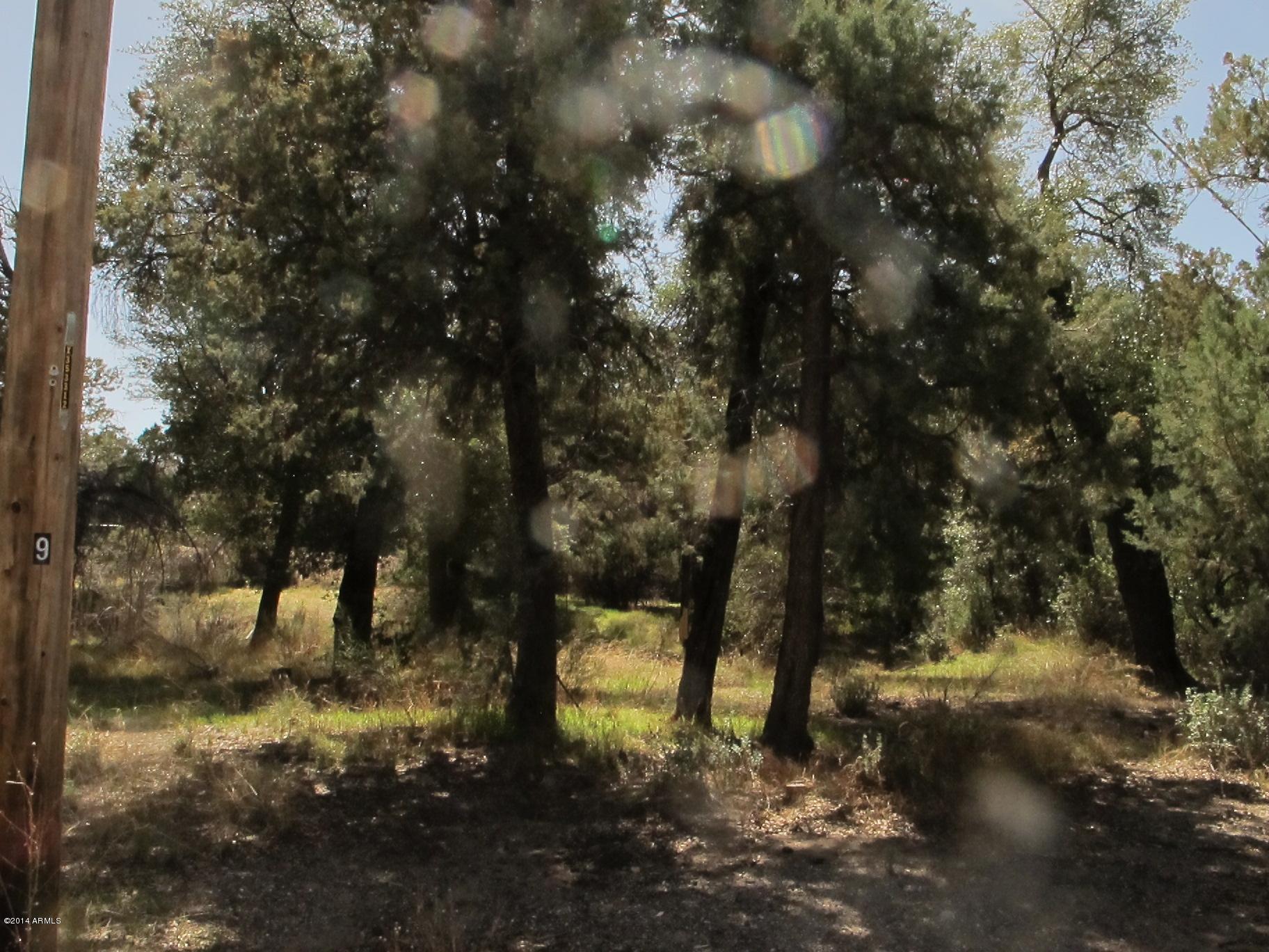 Thumbnail 29