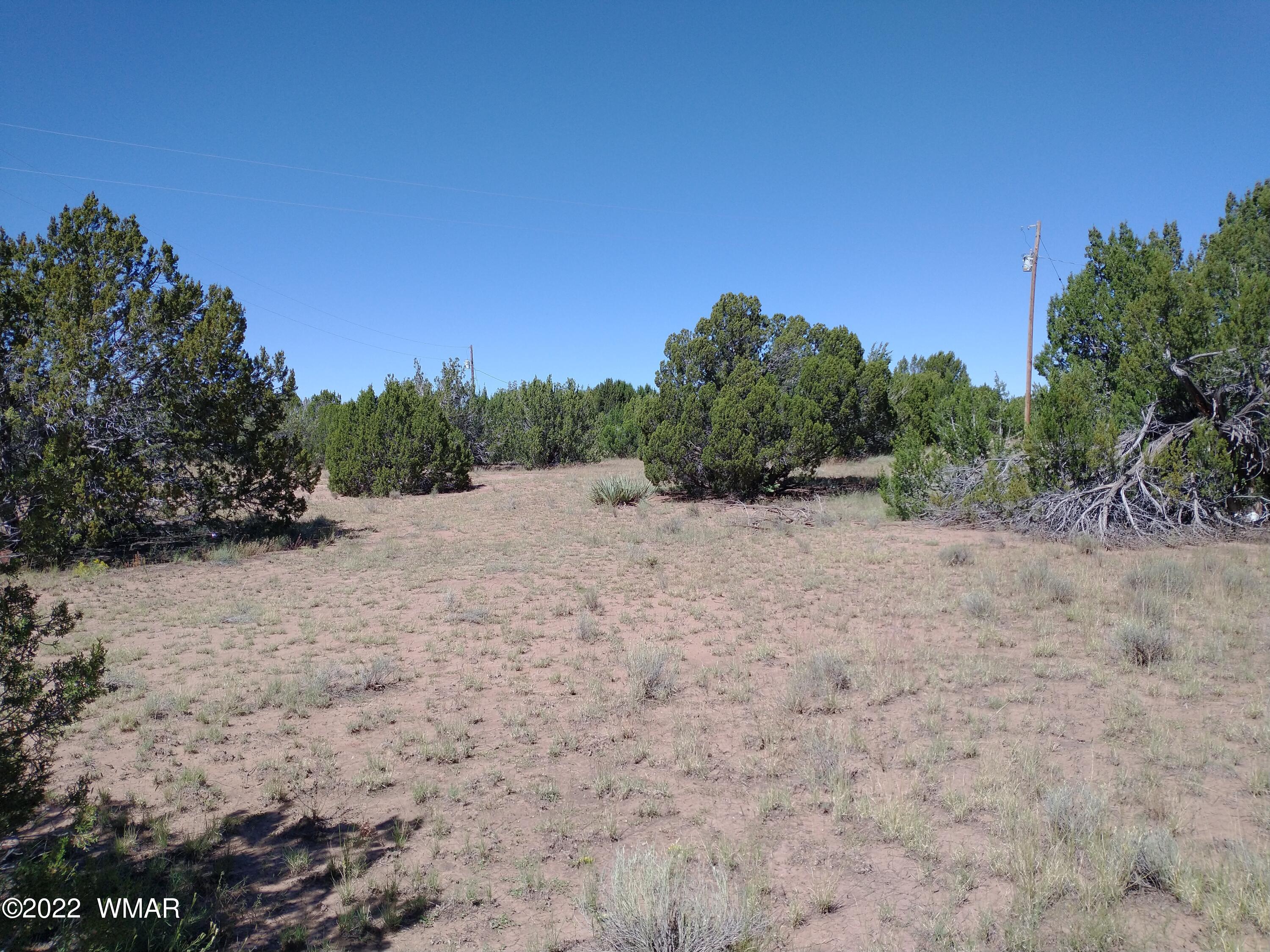 61 Spring Drive, Concho, AZ 85924 — Photo 1 of 10
