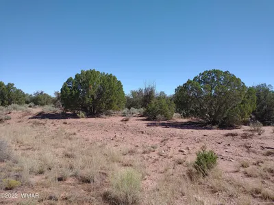 4247 Indian Bend Road, Snowflake, AZ 85937