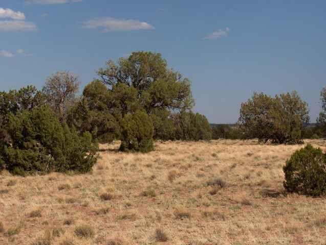 6103 River Run Drive, Heber, AZ 85928