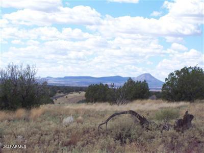 996 W Couchman's Trail 204, Ash Fork, AZ 86320 — Photo 1 of 10