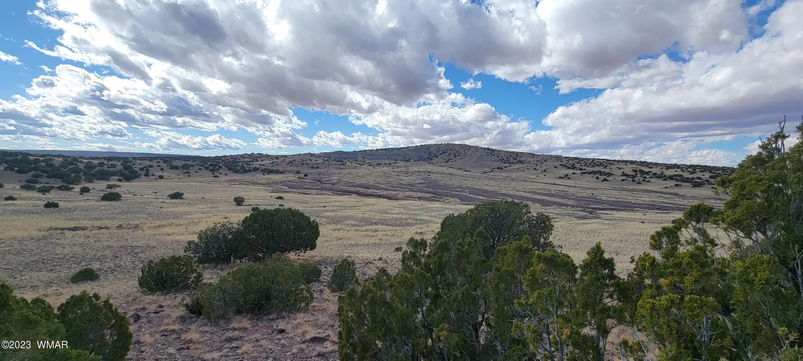 TBD CR N5337, Concho, AZ 85924 — Photo 1 of 8