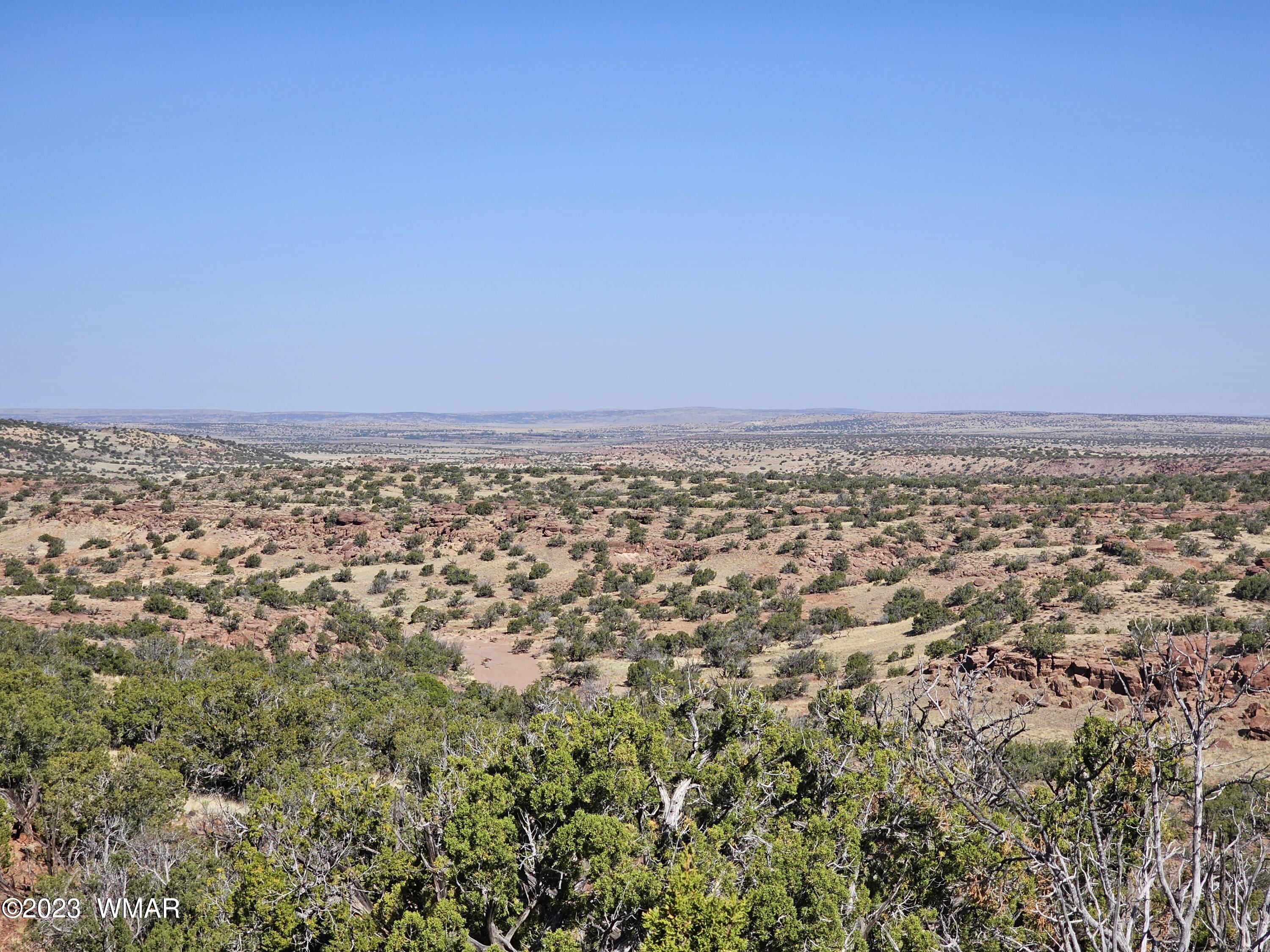 TBD N6448, St. Johns, AZ 85936