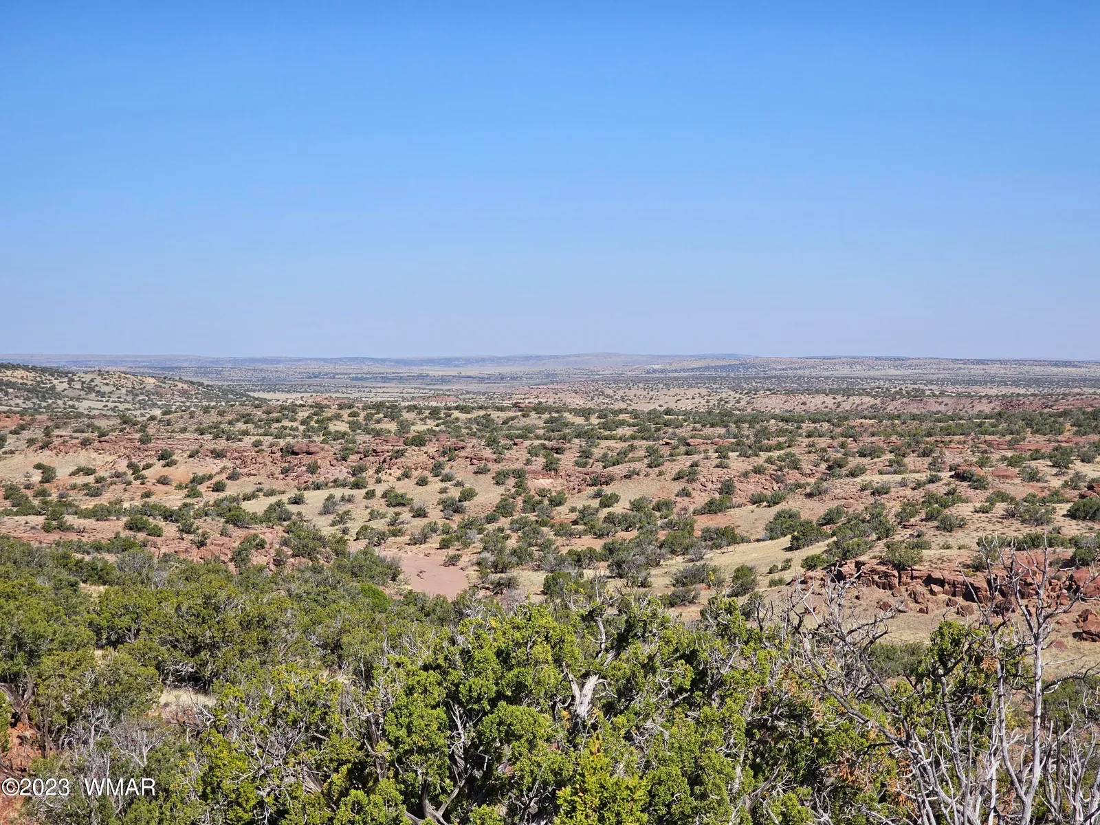 TBD N6448, St. Johns, AZ 85936 — Photo 1 of 8
