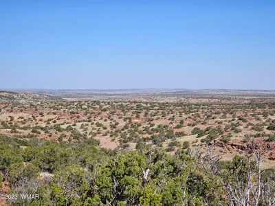 TBD N6448, St. Johns, AZ 85936