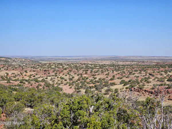TBD N6448, St. Johns, AZ 85936