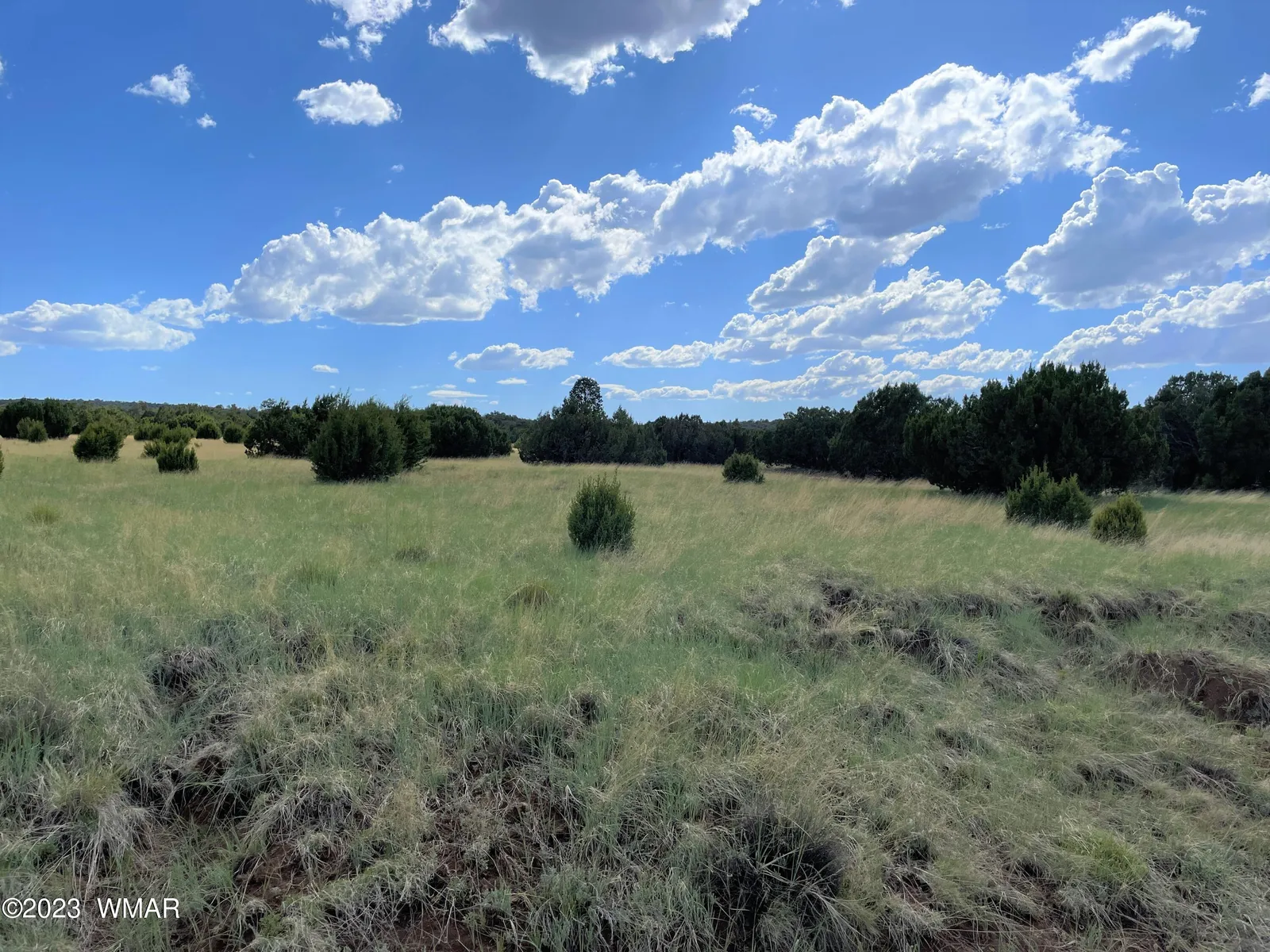83 County Road 3035, Concho, AZ 85924 — Photo 1 of 11