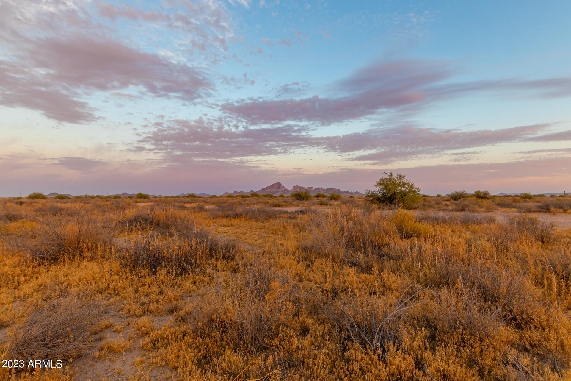 490 W LOTUS Lane 29, Tonopah, AZ 85354 — Photo 1 of 6