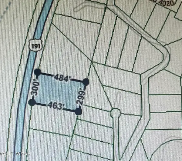 Lot 102 Highway 191, St. Johns, AZ 85936