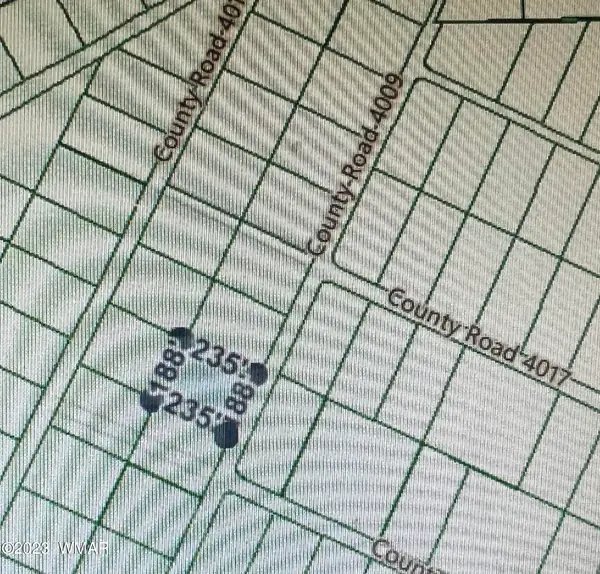 Lot 037 CR N4009, St. Johns, AZ 85936