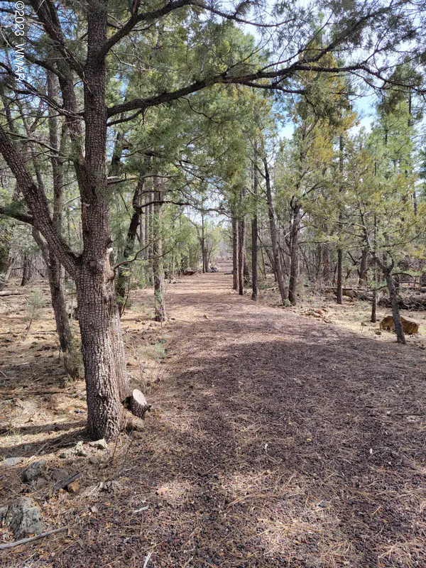 TBD Zola Road, Lakeside, AZ 85929