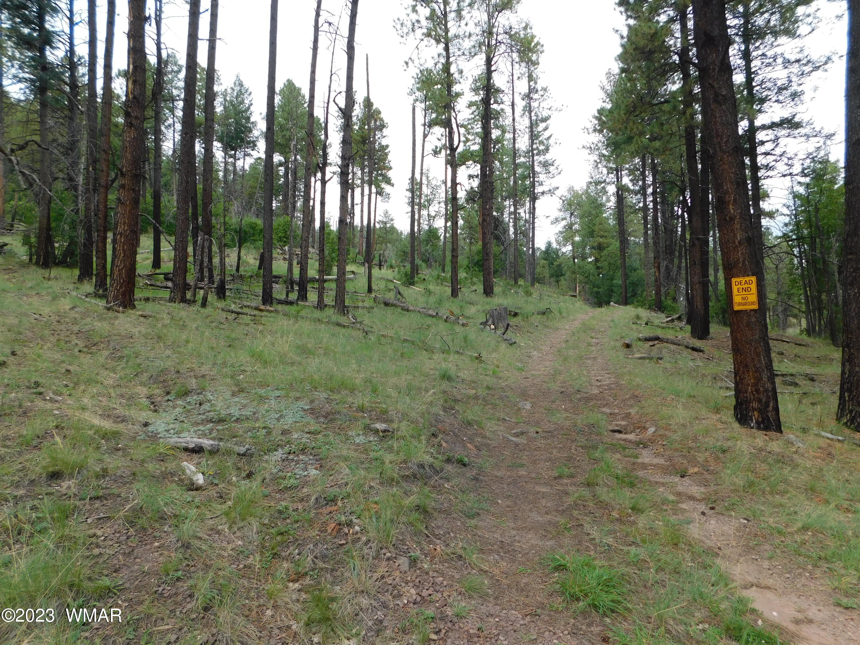 13 N2151, Alpine, AZ 85920 — Photo 1 of 16