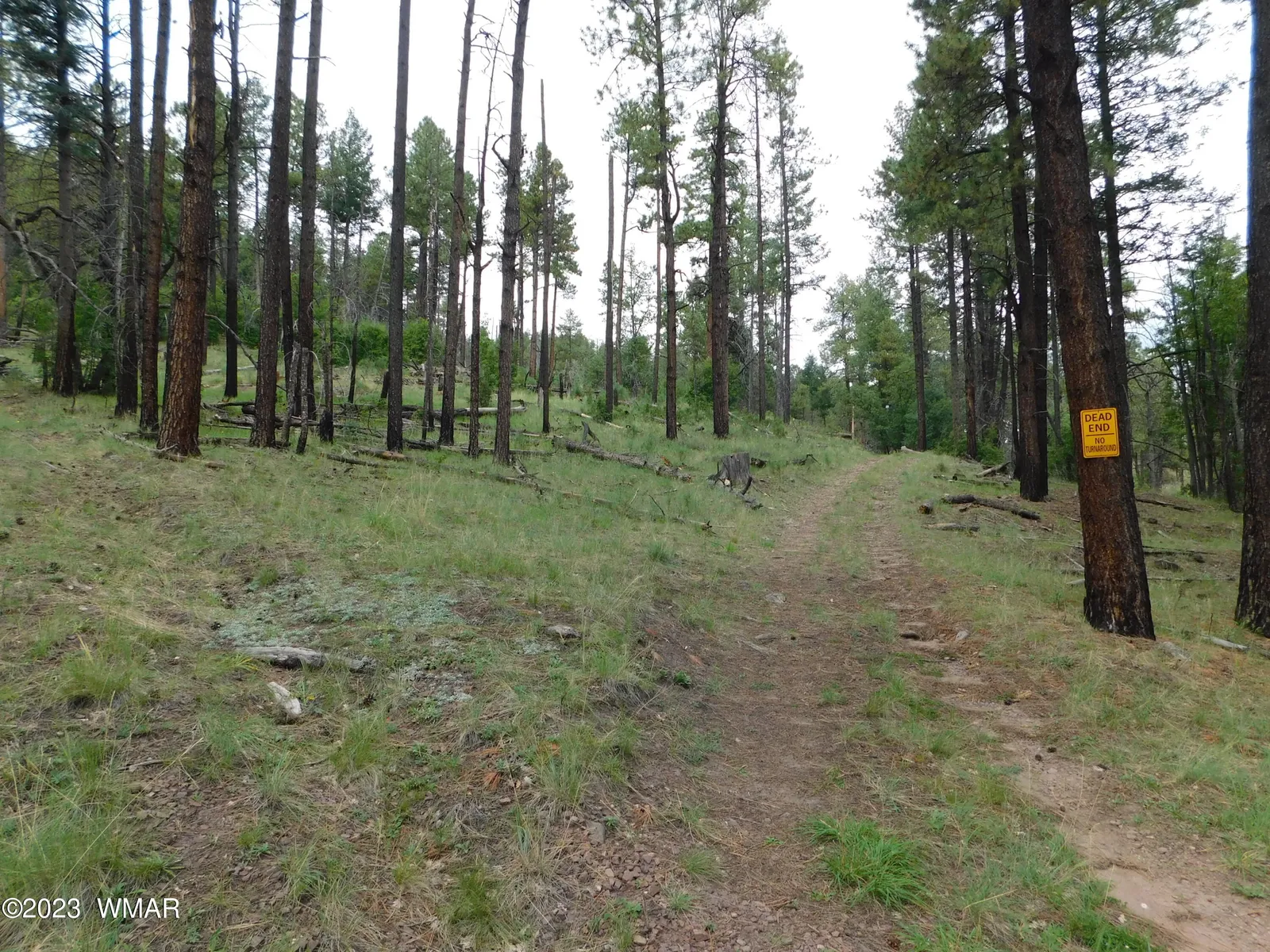 13 N2151, Alpine, AZ 85920 — Photo 1 of 16