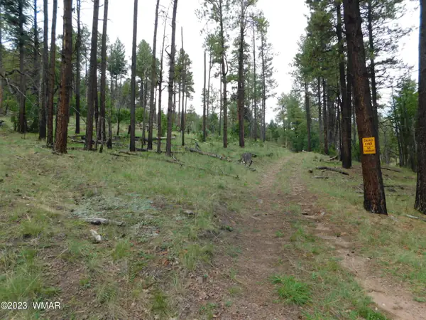 13 N2151, Alpine, AZ 85920
