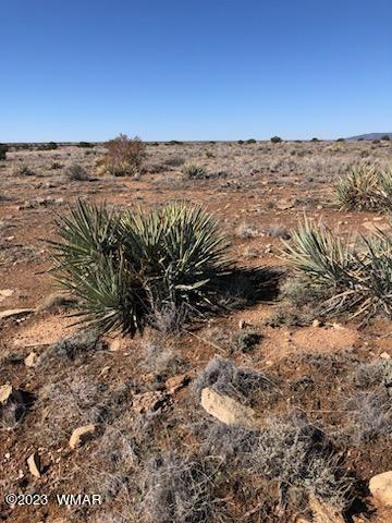 Lot 663 Chevelon Canyon Ranch 663, Heber, AZ 85928 — Photo 1 of 10