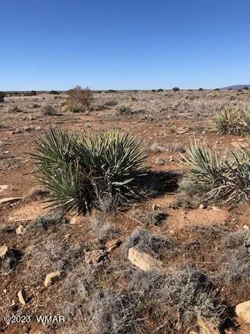 Lot 663 Chevelon Canyon Ranch 663, Heber, AZ 85928
