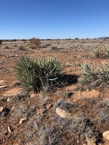 Lot 663 Chevelon Canyon Ranch, Heber, AZ 85928